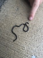 IMG_1538.jpeg IMG_1538.jpeg