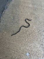 IMG_1537.jpeg IMG_1537.jpeg