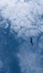IMG_7568.jpeg