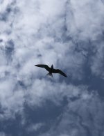 IMG_7569.jpeg
