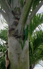 20240509_103727.jpg 20240509_103727.jpg