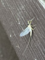 IMG_2865.jpeg IMG_2865.jpeg