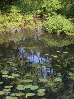 IMG_7585.jpeg