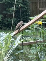 IMG_1573.jpeg
