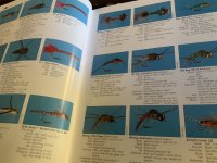 IMG_0971.jpeg