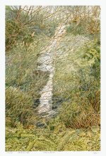 IMG_5865.jpeg