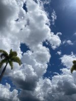 IMG_4282.jpeg