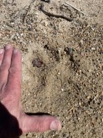 IMG_3380.jpeg IMG_3380.jpeg