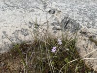 IMG_3422.jpeg IMG_3422.jpeg