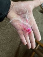 IMG_3404.jpeg IMG_3404.jpeg