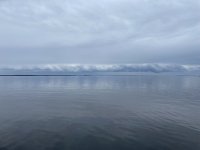 IMG_3406.jpeg IMG_3406.jpeg