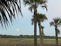 IMG_1681.jpeg