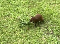 IMG_0901.jpeg