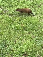 IMG_0902.jpeg