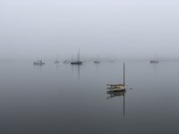 IMG_7647.jpeg