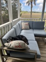 IMG_1677.jpeg