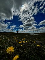 IMG_6538.jpeg