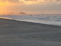 IMG_1655.jpeg