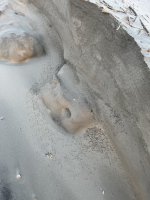 IMG_1659.jpeg