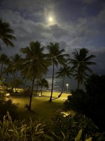 IMG_4740.jpeg