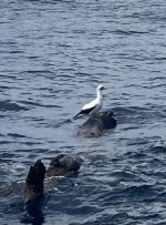 IMG_1200.jpeg