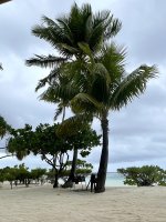 IMG_4764.jpeg