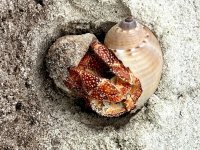 IMG_4771.jpeg