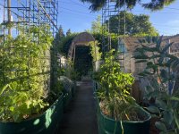 IMG_5900.jpeg