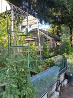 IMG_5903.jpeg