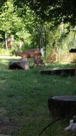 IMG_20240624_092152536.jpg