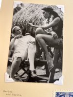 IMG_4781.jpeg