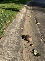 IMG_1714.jpeg