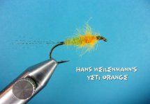 Hans Weilenmann's Yeti Orange.jpg