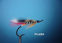 Folkro.jpg