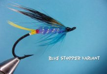 Blue Stopper Variant.jpg
