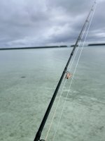 IMG_4799.jpeg
