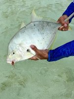 IMG_4802.jpeg