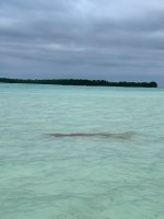 IMG_4817.jpeg
