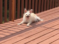 IMG_89001(1).jpg