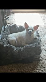 20240625_072756.jpg