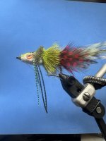 IMG_2863.jpeg