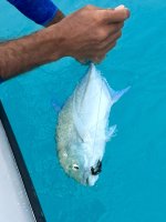 IMG_4827.jpeg