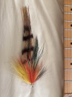 IMG_5151.jpeg