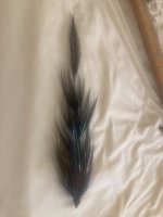 IMG_5146.jpeg