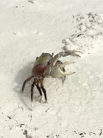 IMG_4861.jpeg