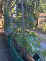 IMG_5918.jpeg