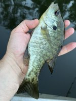 IMG_1754.jpeg