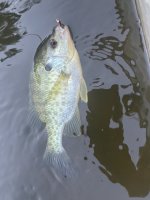 IMG_1760.jpeg
