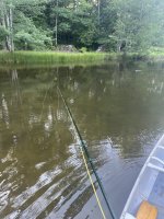 IMG_1762.jpeg