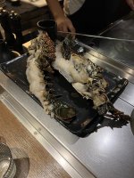 IMG_4867.jpeg